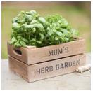 herb garden